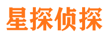 新源市调查公司